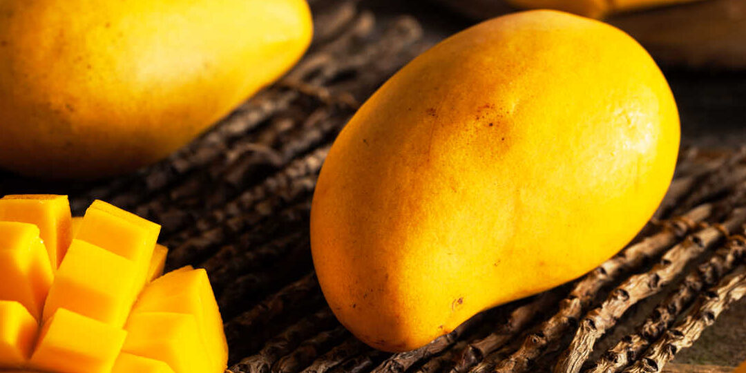 10 beneficios para la salud de las hojas de mango descubre el poder de las hojas de mango para tu bienestar