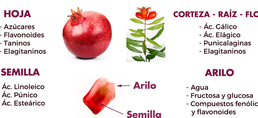 9 beneficios de la granada para la salud de los hombres el poder de la fruta