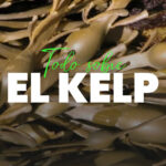 9 Beneficios del Alga Kelp