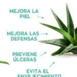 9 Beneficios del Aloe Vera