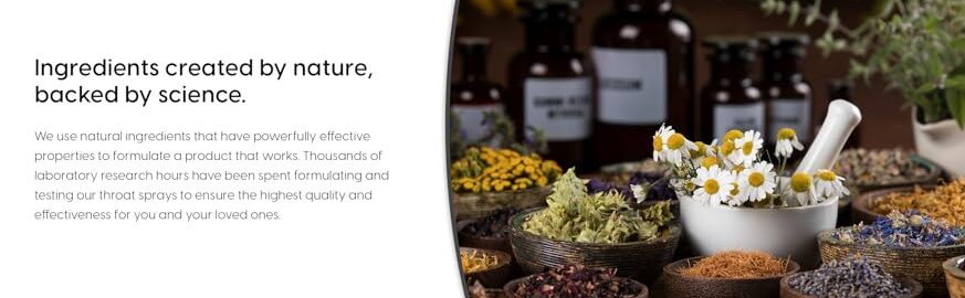 9 beneficios del gordolobo descubre el poder de este remedio herbal