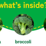 9 Beneficios para la salud del brócoli