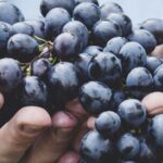 9 Beneficios para la salud de las uvas negras