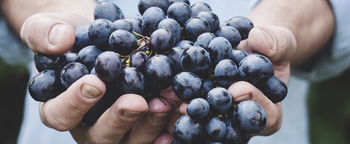 9 beneficios para la salud de las uvas negras